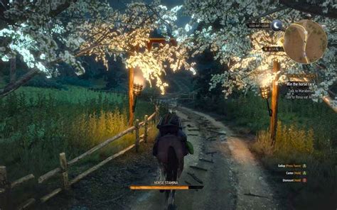 The Witcher 3: Broken Flowers walkthrough .